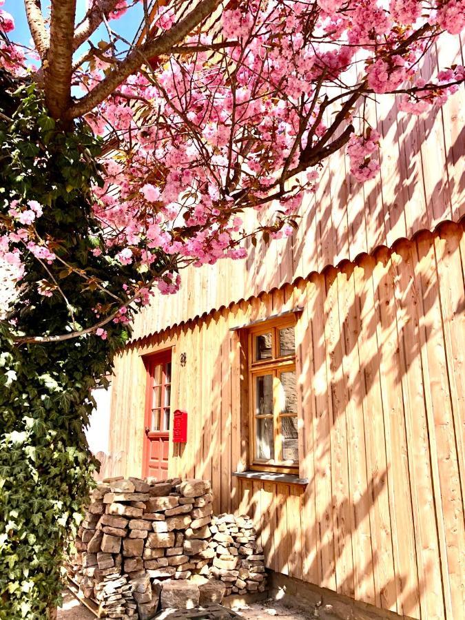 Exklusive Oekologische Ferienwohnung , Innenstadt, Dg ヴェルニゲローデ エクステリア 写真